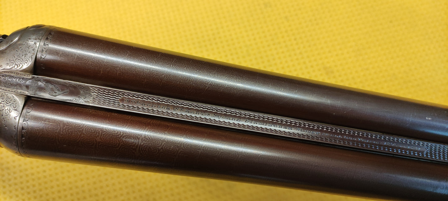 GREENER cani esterni