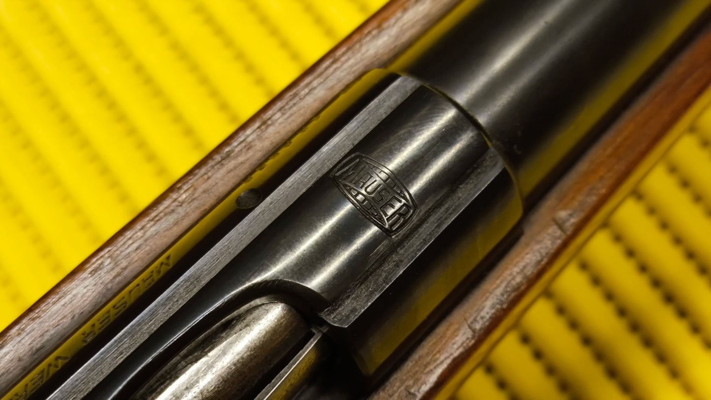 Trainer Mauser MS 350 B