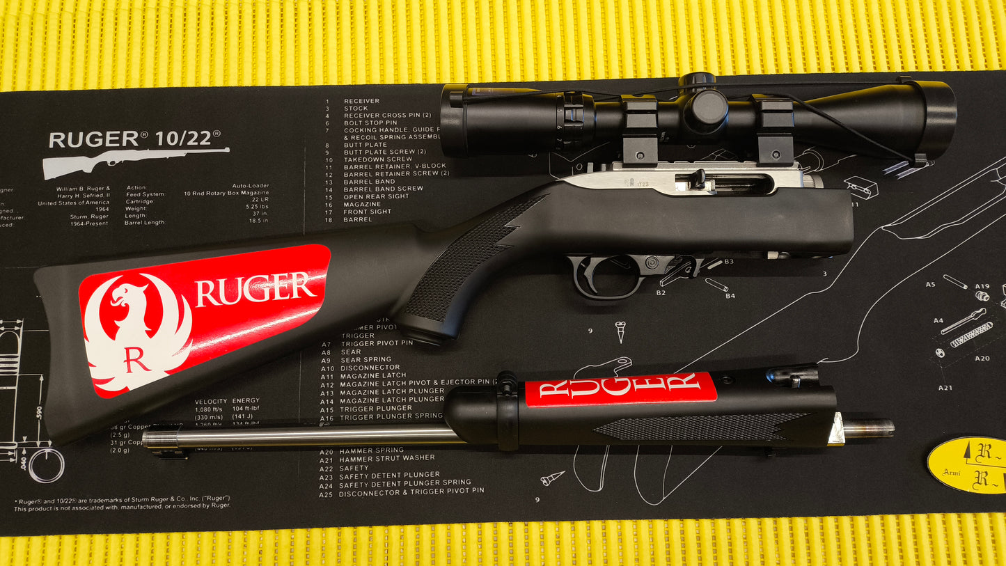 Ruger K10/22 TD