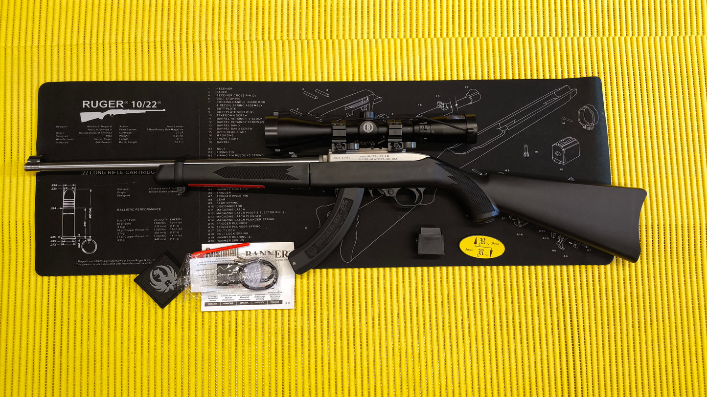 Ruger K10/22 TD