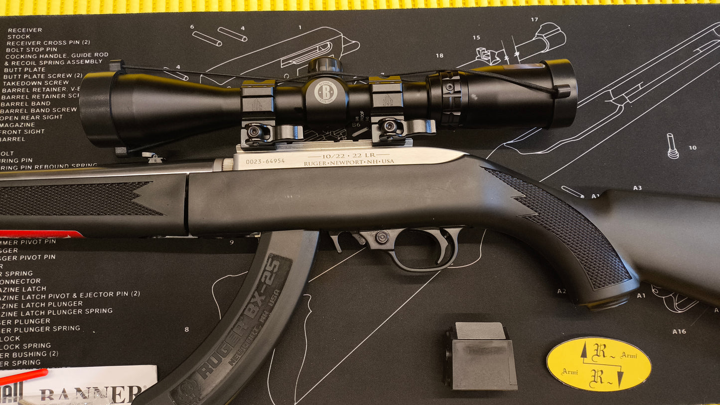 Ruger K10/22 TD