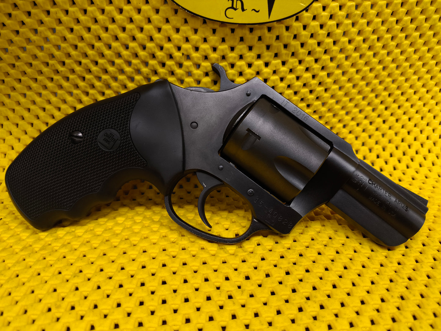 Charter Arms Pit Bull