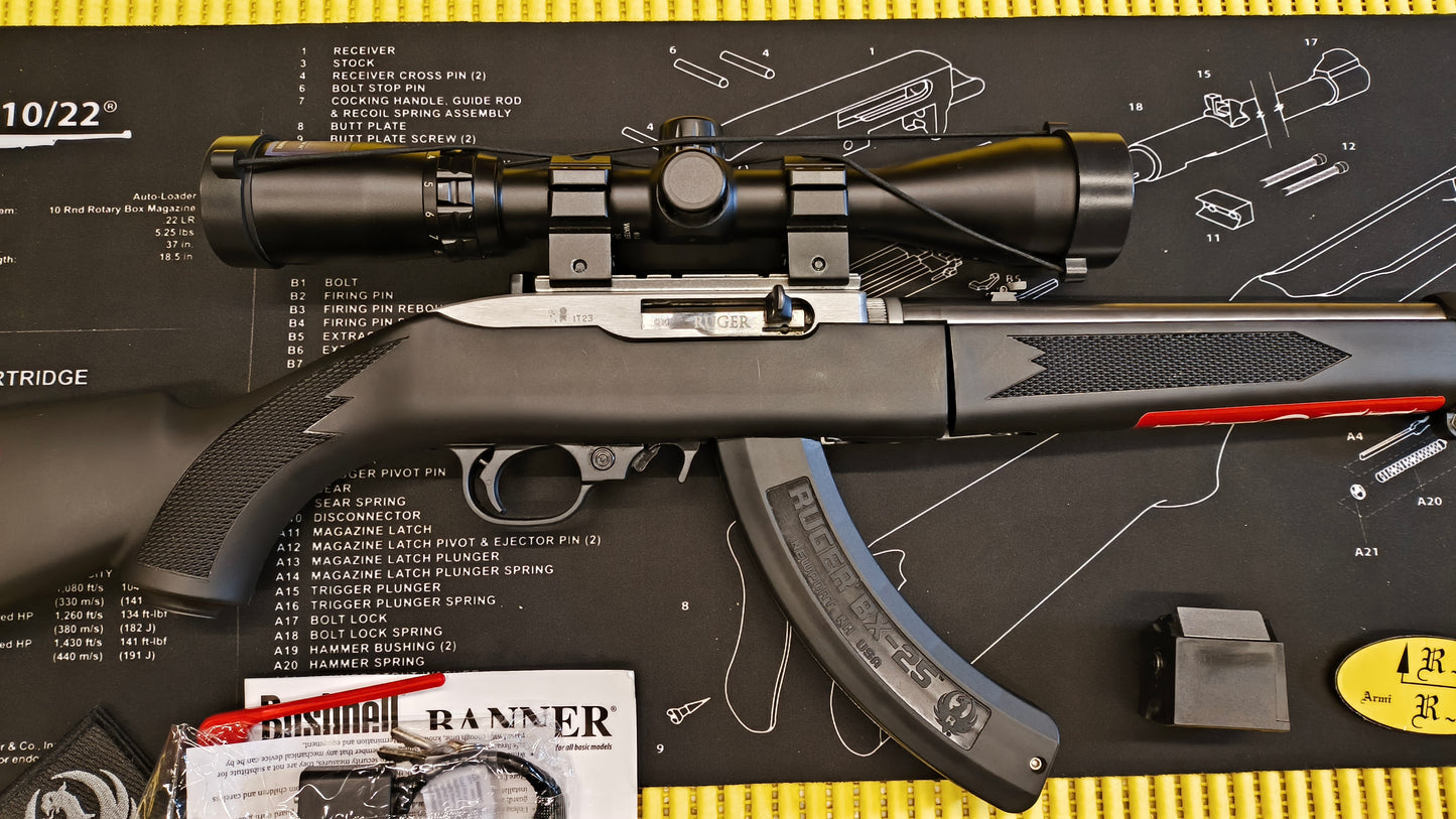 Ruger K10/22 TD