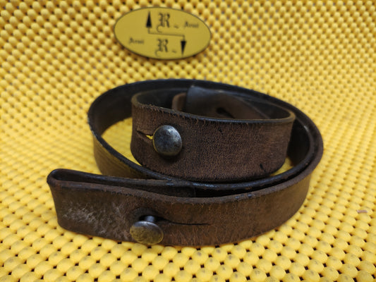 Cinghia Schmidt Rubin 1911